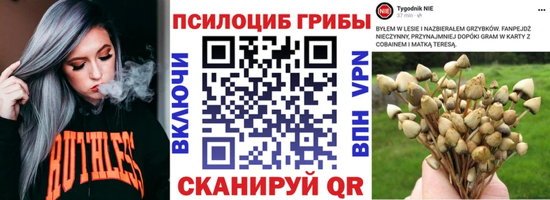Псилоцибиновые грибы мухоморы  цены   мориарти формула  Зверево 